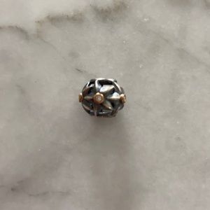 Pandora Charm